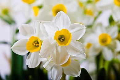 《斯普拉遁3》大型庆典活动将于9月上线 或为最终更新